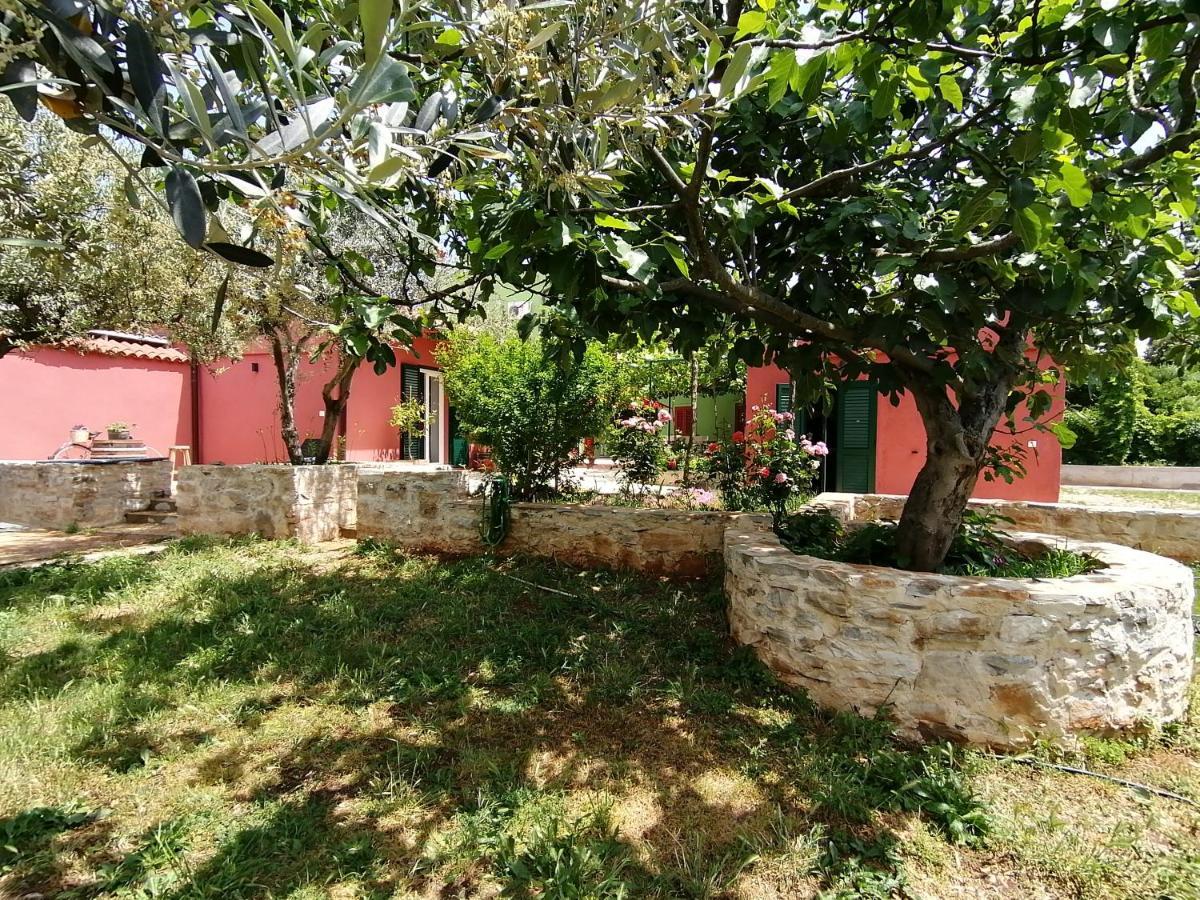 House Bougainvillea Пула Екстер'єр фото